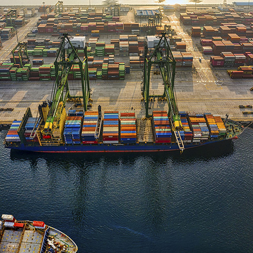 Unane Trader Export 03